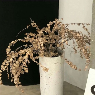 兽设火山场景设计福瑞交流群